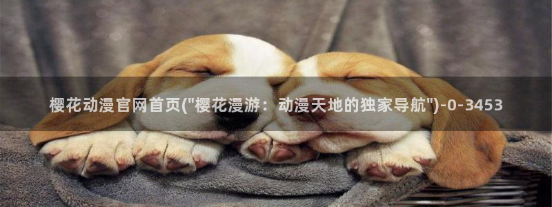 樱花动漫官方网址