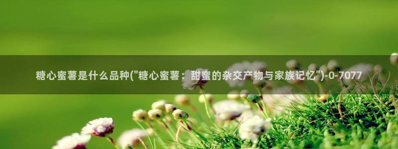 糖心vlog 百度网盘