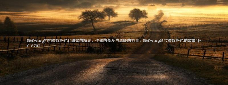 糖心vlog精产国品免
