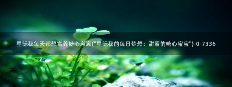 糖心vlog最新网站入口下载