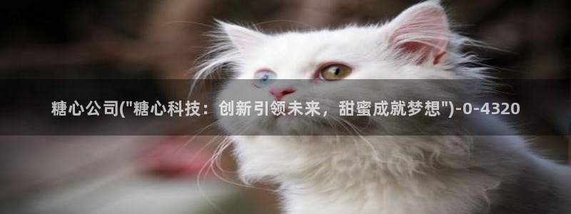 糖心vlog的视频