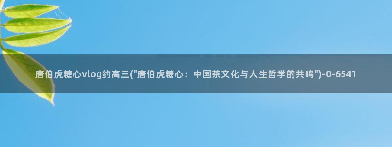 糖心vlog资源