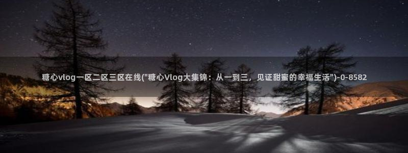 糖心vlog精品