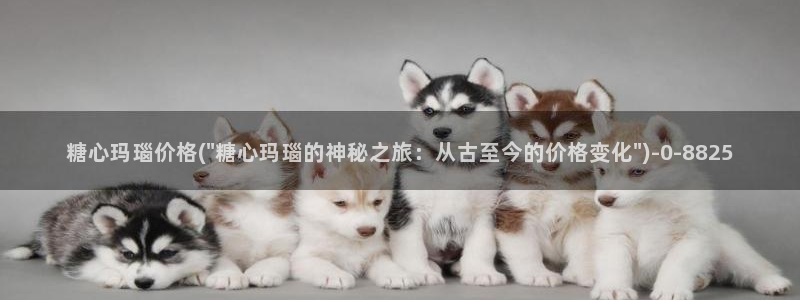 糖心vlog回家