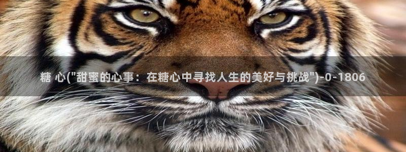 糖心vlog破解教程