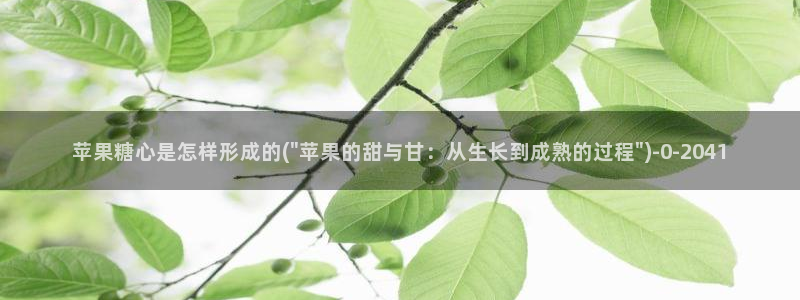 糖心vlog精品一区二区三区