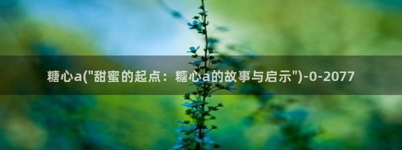 糖心vlog的视频