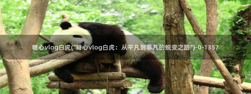 糖心vlog司雨