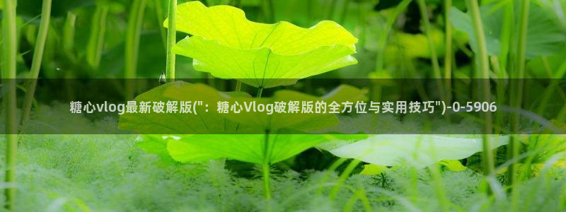 www.糖心vlog.