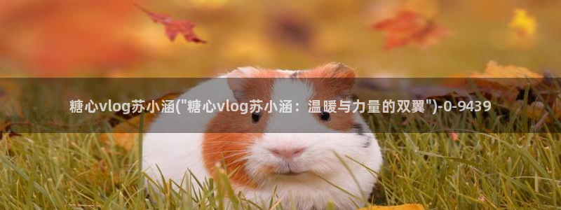 糖心vlog视频在线观看